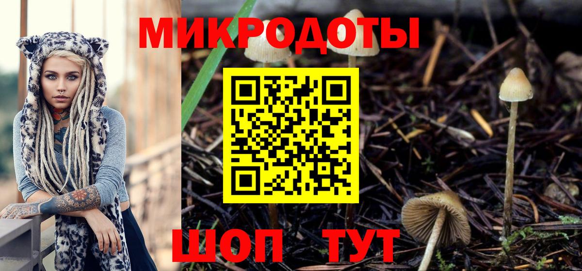 Галлюциногенные грибы Psilocybe Корсаков